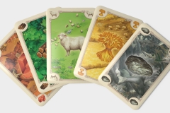 Catan-3
