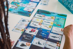 Finspan-6