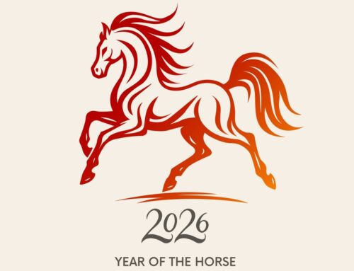 Lunar New Year 2026 Opening Hours